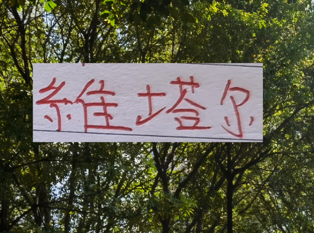 世界杯手机直播平台-上个赛季中超前4的十号 就海港10号维塔尔助攻最多 出场也最多